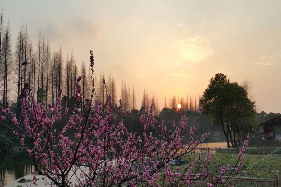 Taoyuan Shuixiang Hotel Chongming Dış mekan fotoğraf