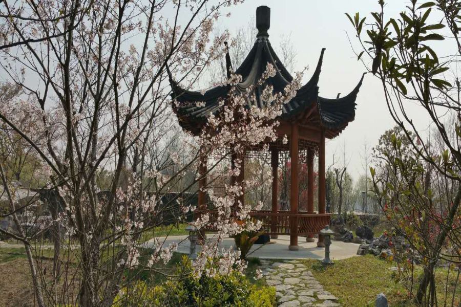 Taoyuan Shuixiang Hotel Chongming Dış mekan fotoğraf